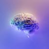 modelli mentali cover un modello 3D del cervello umano su uno sfondo viola