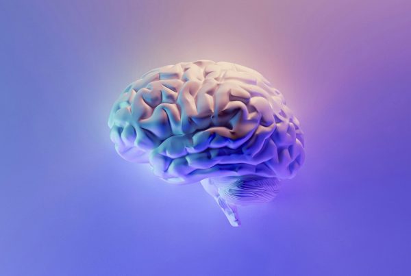 modelli mentali cover un modello 3D del cervello umano su uno sfondo viola